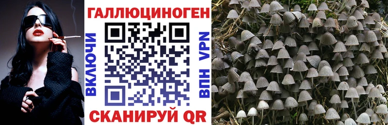 Галлюциногенные грибы прущие грибы Крым